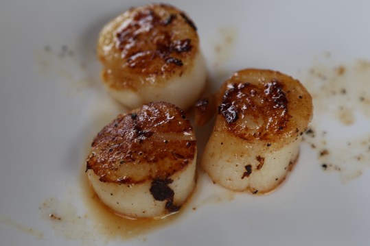 pan-seared Hokkaido scallops