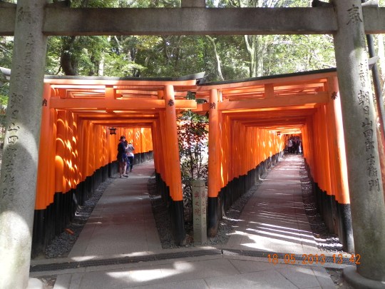 Fushimi Inari -1000 torii gates 鸟居