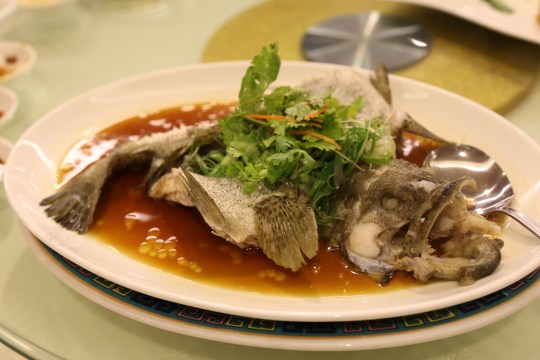 garoupa HK steamed 港蒸