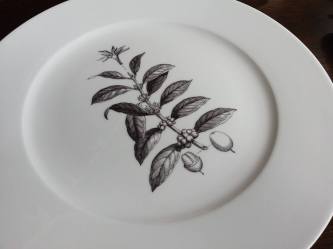 1000509_10201474478161529_1031128836_n