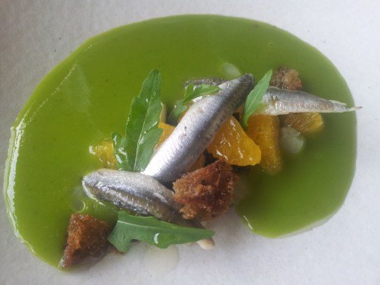 pickled anchovies, orange salad & olives & chilled fennel soup