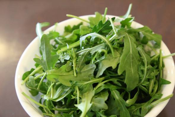 10658612_10152808606424494_1956080583318428610_o