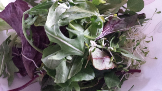 mesclun = rockets, alfafa, spinach, purple lettuce
