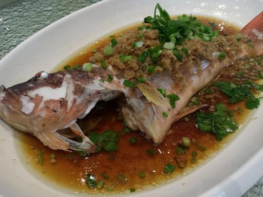 steamed red garoupa with chye poh