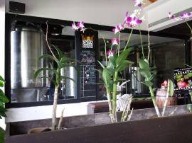 1459288_10152000660949494_561828043_n