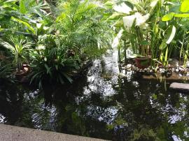 1469931_10152000661114494_954305295_n