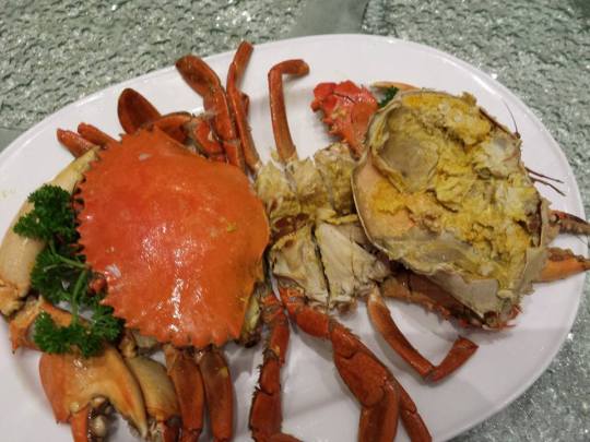 1522085_10152141967069494_1407531500_n