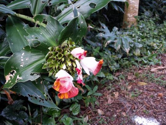 1527115_10152134846829494_714873208_n