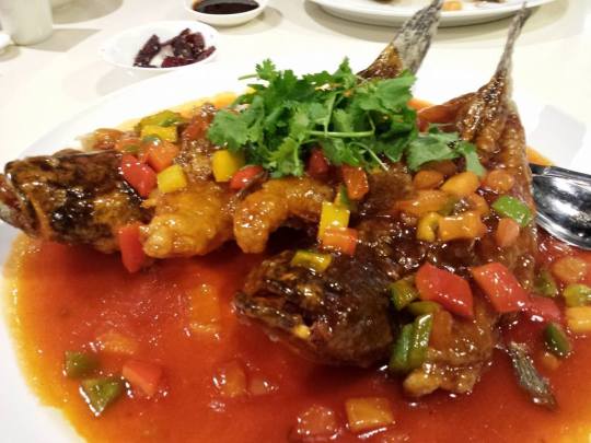 sweet & sour soon hock