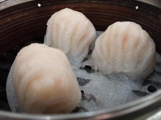 10007031_10152275535484494_1230905310_n