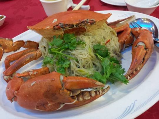 1499542_10152275715999494_1661552553_n