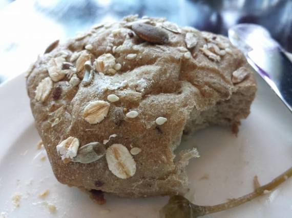 1503232_10152283504974494_1941638899_n