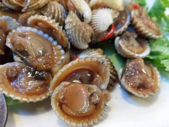 1911763_10152275715884494_792039092_n