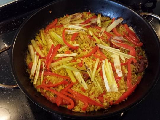 1920345_10152246905934494_83841702_n