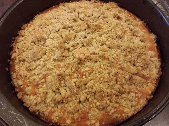 1978810_10152267569124494_806311873_n