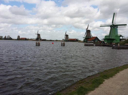 10150593_10152322768149494_5093608505702936470_n