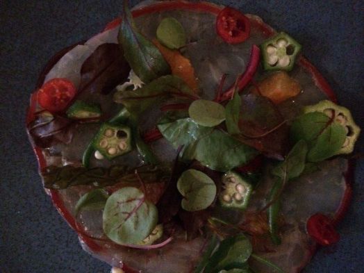 10168113_10152321835374494_374338007924765883_n