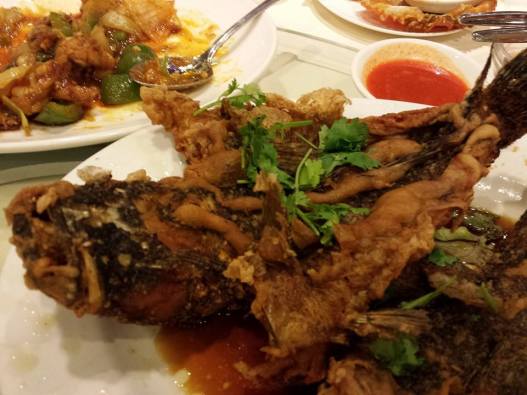 10171102_10152348756314494_2929438136504994036_n