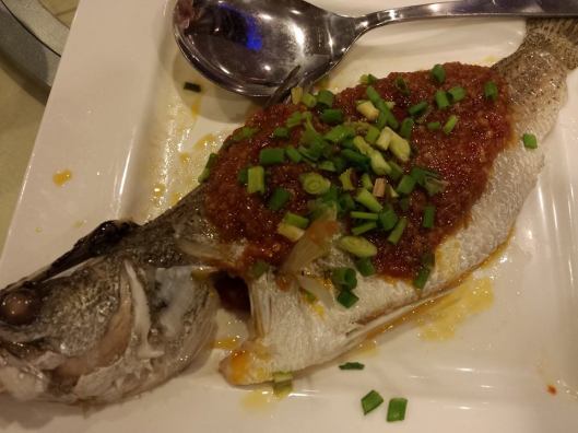 10308222_10152348756679494_3497810837823596129_n