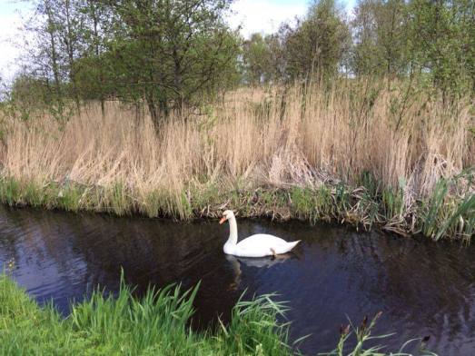 1609791_10152326413614494_8253100516533313662_n