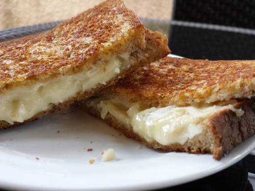 grilled cheese sandwich