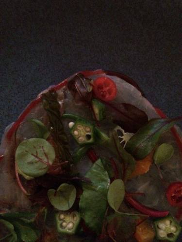 485631_10152321835214494_3491117406645732257_n