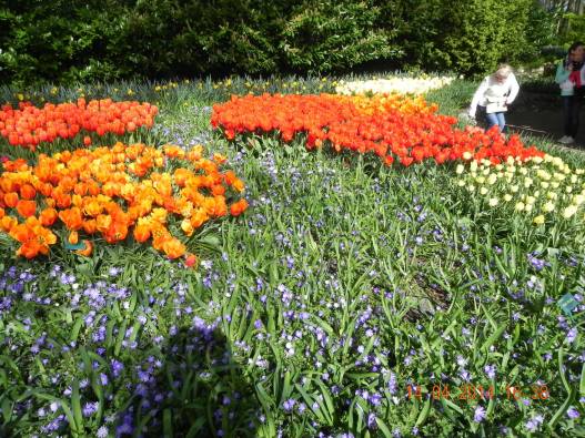 10001141_10152324154609494_6870061805670920859_o