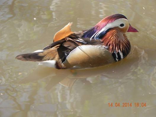 10003823_10152324163049494_191249325642484268_o