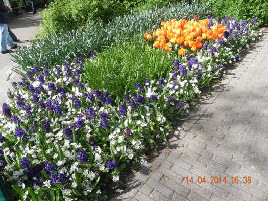 10003841_10152324154699494_8980318293973010180_o