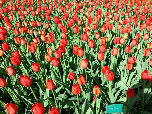 10003936_10152324208294494_844549599903163559_n