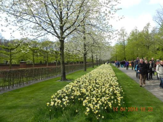 10010670_10152324163824494_1109040333191114391_o