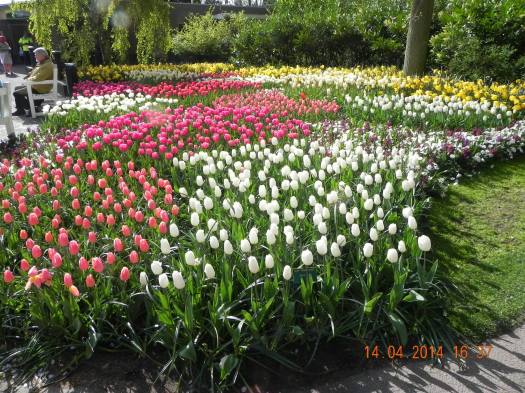 10010694_10152324154439494_1968114574386018393_o