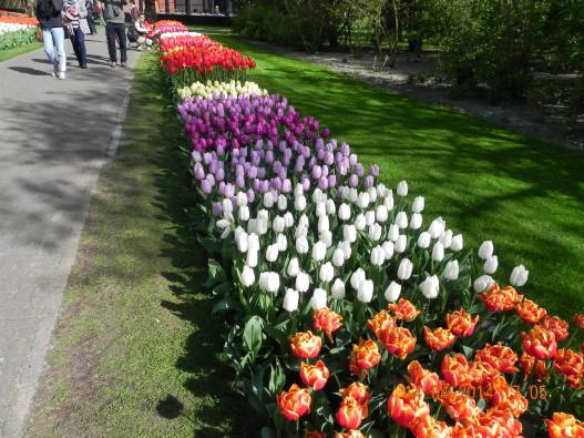 10011808_10152324156484494_1527914064701039584_o