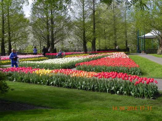 10013482_10152324157469494_4812909756787090674_o