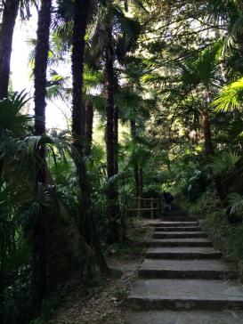 10154323_10152108868375662_705398997498725067_n