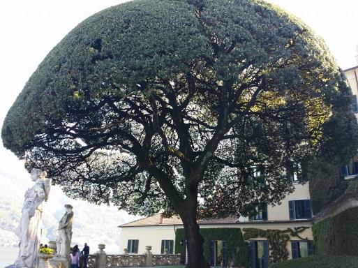 10157313_10152329592589494_266815079567684341_n