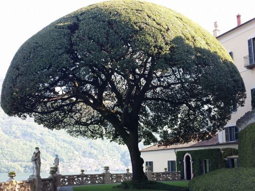 10170903_10152329590624494_3528122280190097812_n