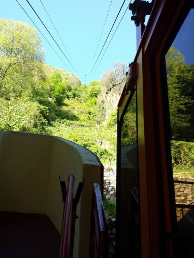 10172692_10152327728634494_2163223140145085840_n