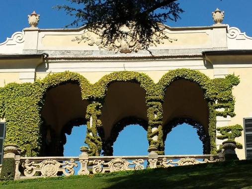 10174873_10152329581884494_4695054890244021565_n