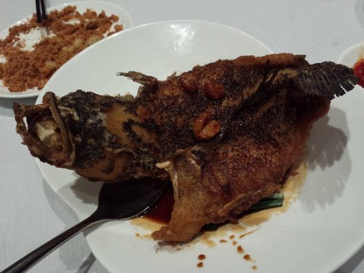 1017770_10152378984984494_5967512635601923651_n