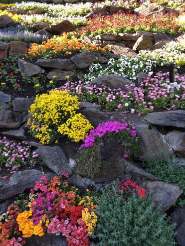 10250114_10152108867705662_7968497191215569226_n