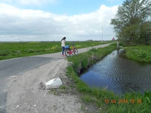 10256465_10152325889724494_8144027831827917003_o