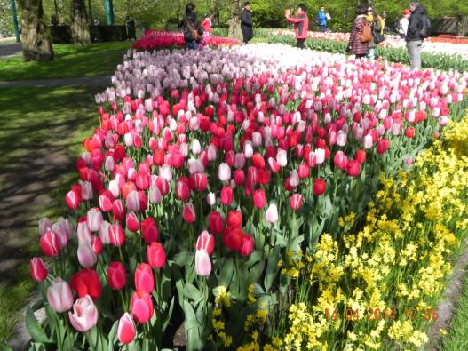 10257431_10152324156629494_474461201624268161_o