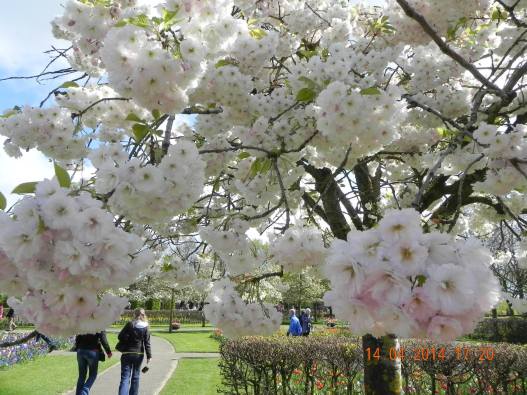 10258680_10152324158289494_4960030152666608316_o