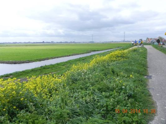 10258919_10152325889394494_1066072127968517101_o