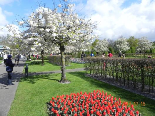 10264070_10152324157564494_9007116004039798518_o