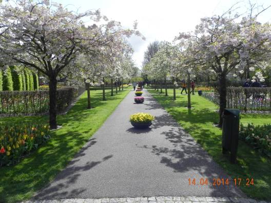 10264170_10152324159194494_1508266347786034865_o