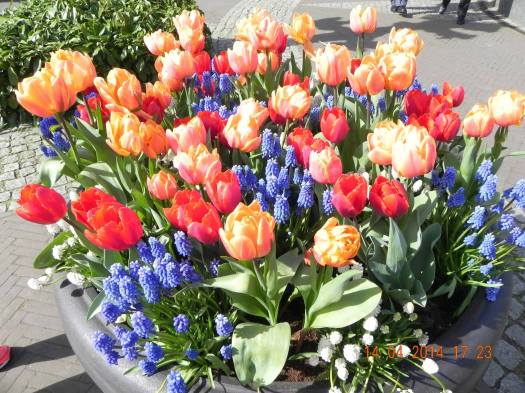 10264231_10152324159229494_721334408663903420_o