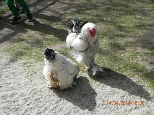 10269201_10152324162229494_4879311589163227092_o