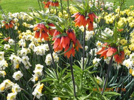 10269303_10152324161324494_8483296566816762400_o